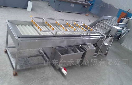 秋意正濃公司 引領產業革新，新型果蔬清洗風干流水線與先進汽輪機同步上市